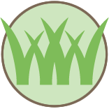Lawn Power Raking Service Pros
