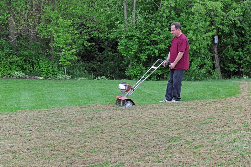 Lawn Power Raking Service