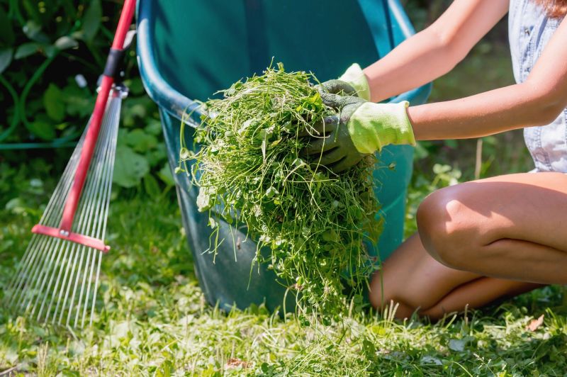 Lawn Power Raking Service