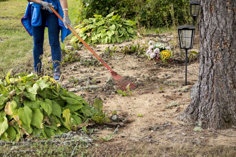 Lawn Power Raking Service