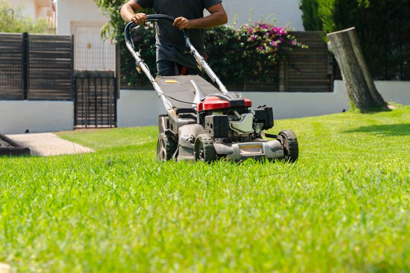 Lawn Power Raking Service