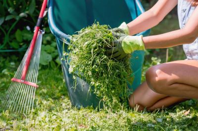 Lawn Power Raking Service
