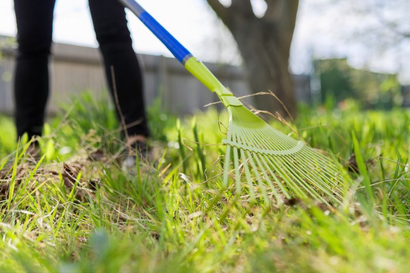 Lawn Power Raking Service