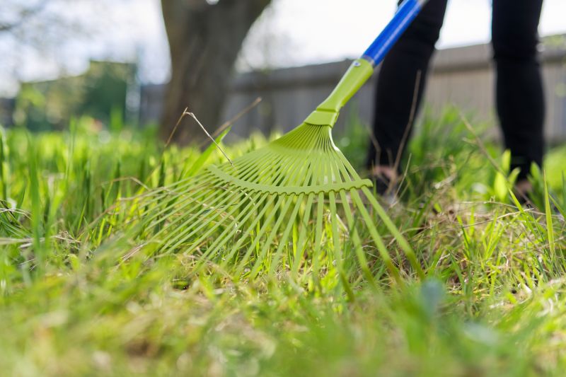Lawn Power Raking Service