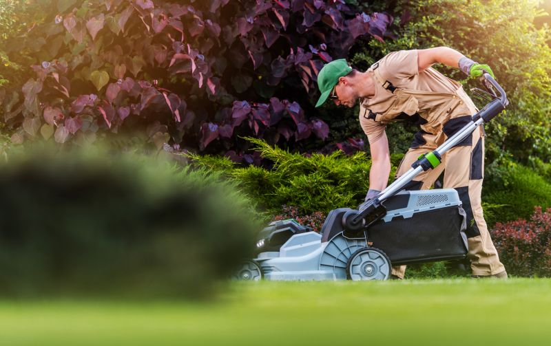 Lawn Power Raking Service
