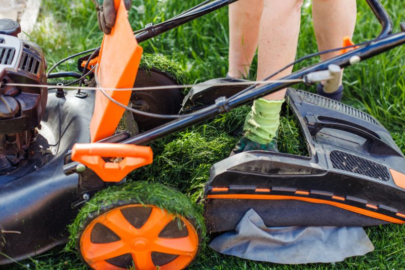 Lawn Power Raking Service