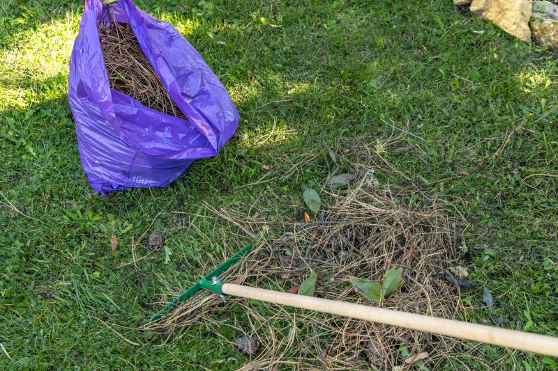 Lawn Power Raking Service