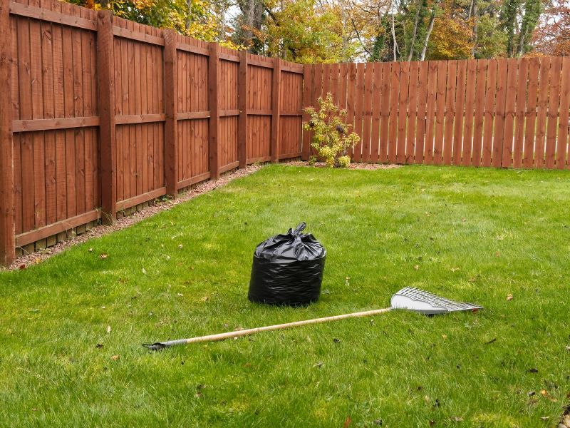 Lawn Power Raking Service
