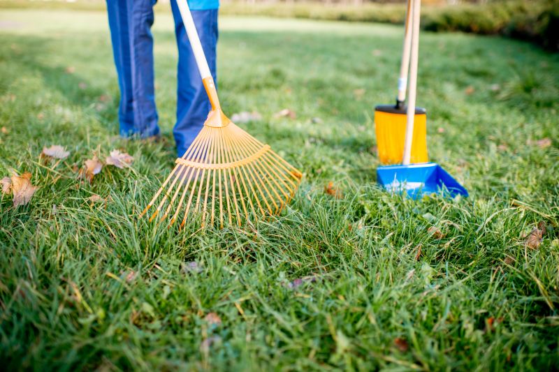 Lawn Power Raking Service