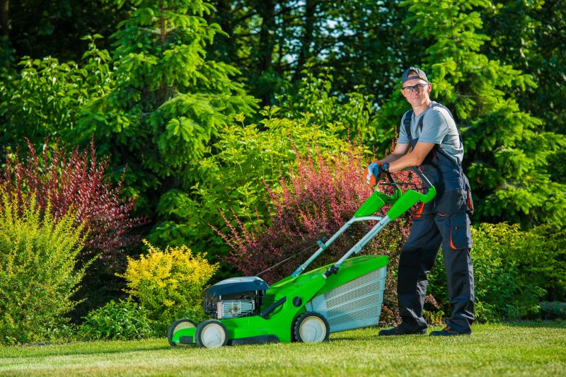 Lawn Power Raking Service