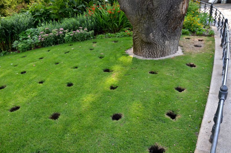 Close-up of Aeration Holes